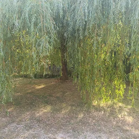 Le Refuge 86 Casa di campagna *